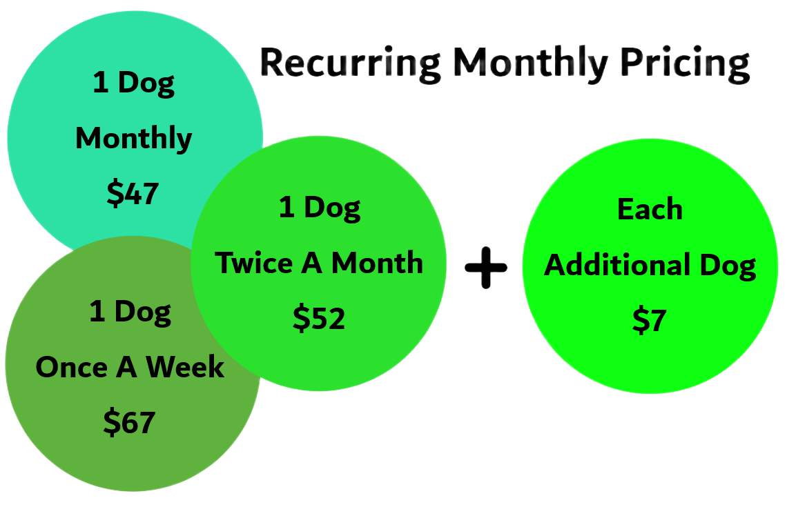 Recurring Pricing