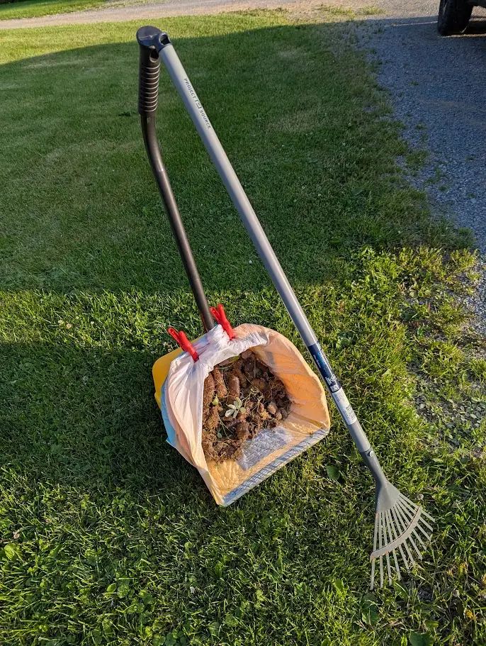 Lightning Scoopers cleaning commercial pet waste station in Genesee County NY